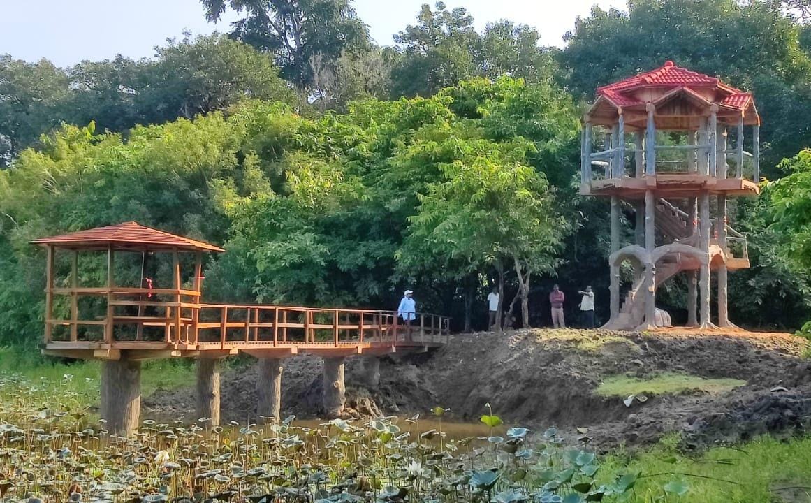 Palamau Tiger Reserve Travel Guide 2026 – Safari, Wildlife, Best Time & Tourism.