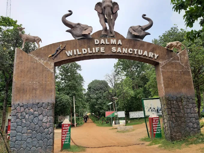 Dalma Wildlife Sanctuary Travel Guide 2026 | Safari, Best Time, Entry Fee & Tourist Attractions.