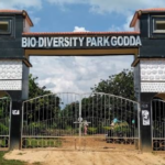 Top Tourist Places In Godda Jharkhand