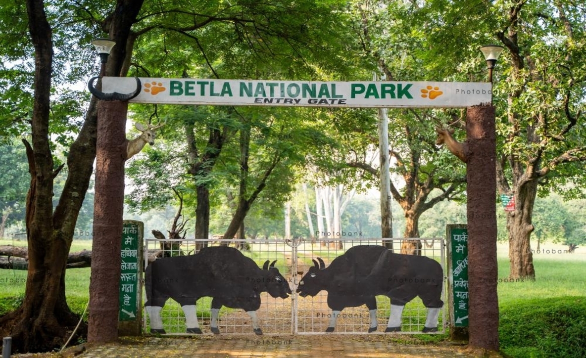 Betla National Park Travel Guide 2026 – Safari, Ticket Price, Best Time & Attractions