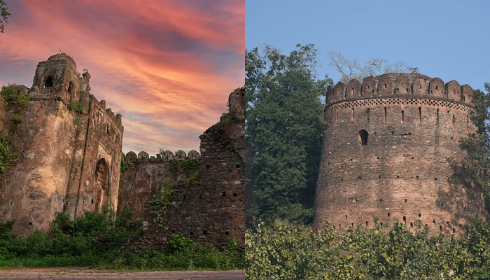 Palamu Tour Guide – Best Tourist Places, Wildlife, Waterfalls & Travel Tips.