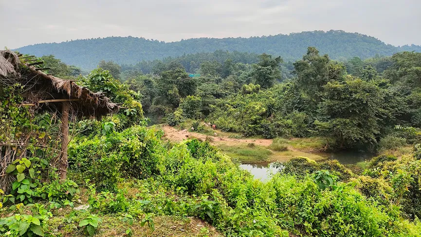 Palkot Wildlife Sanctuary Travel Guide 2026 – Safari, Animals, Best Time & Entry Details