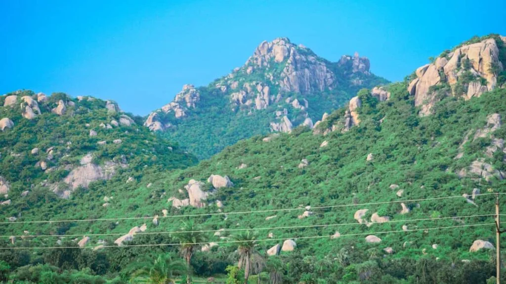 Parasnath Wildlife Sanctuary Travel Guide 2026 | Timings, Safari, Wildlife & Tourist Places
