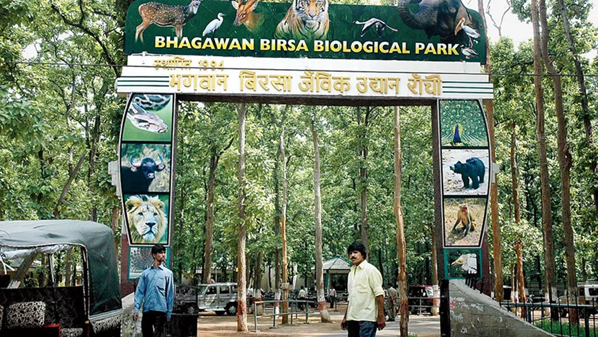 Birsa Biological Park Ranchi – Complete Travel Guide, Timings, Ticket Price & Attractions.