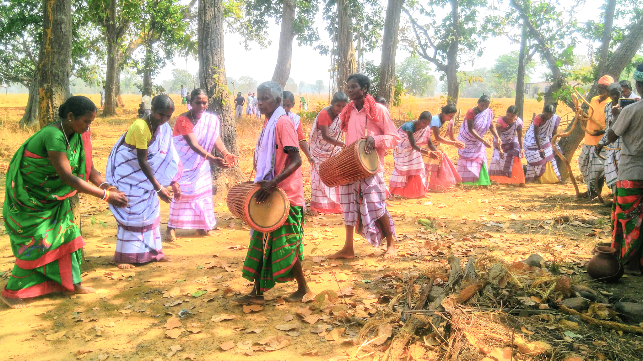 Baha Festival of Jharkhand – History, Significance, Rituals, Culture and Celebration Guide