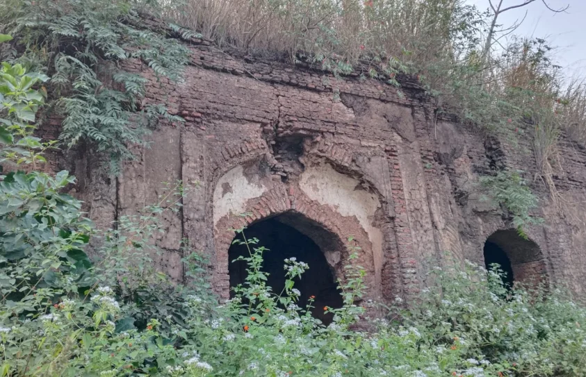 Teliagarhi Fort Sahibganj: History, Architecture, Travel Guide & Tourist Attractions